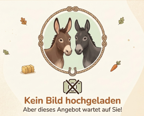 Kein Bild verfügbar