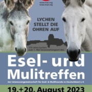 IGEM 2023 Plakat A4 Esel- und Mulitreffen 2023