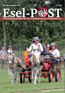 Heft 126 / März September 2019