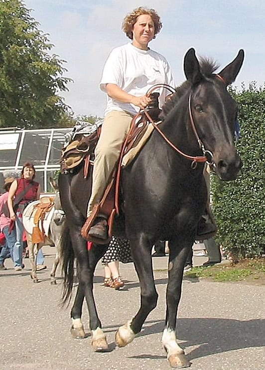 Foto: Monika Bellemann auf Primus