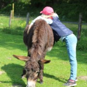 Foto: Jugendcamp 2023, Esel und Kind