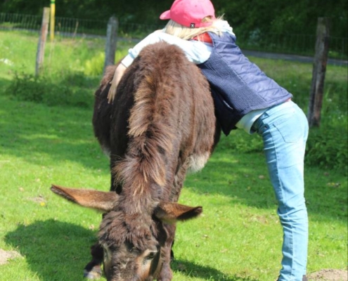 Foto: Jugendcamp 2023, Esel und Kind