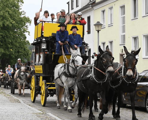 Foto: Postkutsche mit vier Mulis von und mit Achim Rensch am 20. August 2023 in Lychen