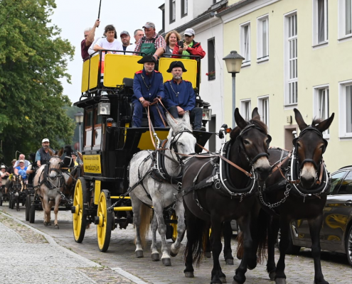 Foto: Postkutsche mit vier Mulis von und mit Achim Rensch am 20. August 2023 in Lychen