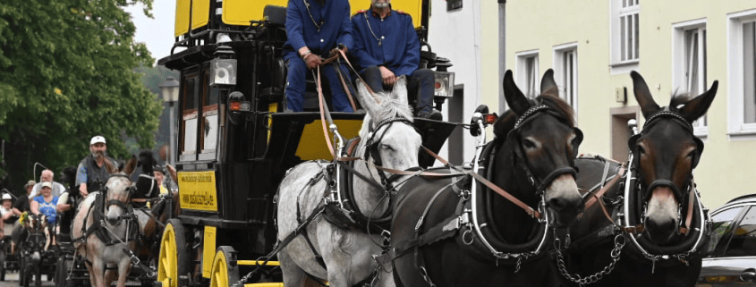 Foto: Postkutsche mit vier Mulis von und mit Achim Rensch am 20. August 2023 in Lychen