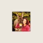 WEB-ESEL SPRECHSTUNDE | Eselkauf