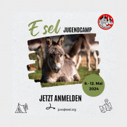 Illustration: Jugendcamp 2024, Werbung, Seite 1