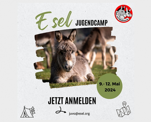 Illustration: Jugendcamp 2024, Werbung, Seite 1