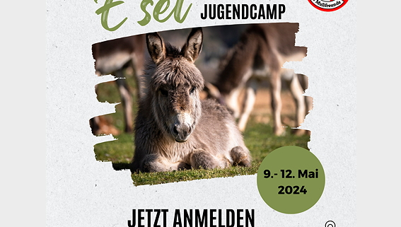 Illustration: Jugendcamp 2024, Werbung, Seite 1