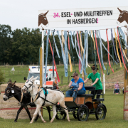 Foto: Carmen Dannenhaus fährt beim Eseltreffen in Hasbergen 2024 mit ihrer Eselkutsche durch das Flatterbandtor.