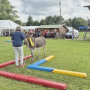 Foto: Annemarie Bank-Lauer bewegt ihren Esel rückwärts beim Eseltreffen in Hasbergen 2024