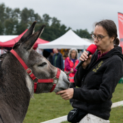 Foto: Susanne von Münchhausen streichelt Eselschnauze und moderiert beim Eseltreffen in Hasbergen 2024