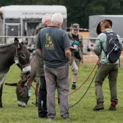 Foto: Menschen und Esel warten auf ihren Einsatz beim Eseltreffen in Hasbergen 2024