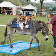 Foto: Susanne Hühn führt ihren Esel mit Packsattel durch das Wasserhindernis beim Eseltreffen in Hasbergen 2024