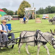 Foto: Zwei Menschen in Kutsche, die ein Esel zieht, vor dem 34. Eseltreffen-Tor
