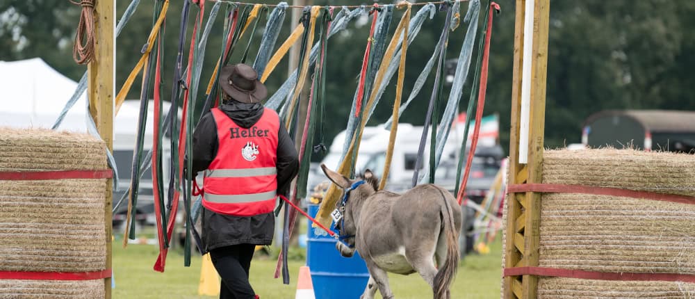 Foto: Mensch und Esel gehen durch ein Flatterbandtor