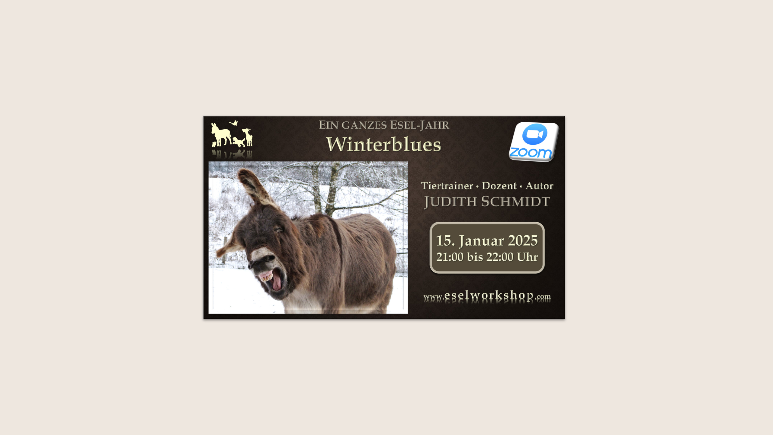 Ein ganzes Esel-Jahr | Winterblues