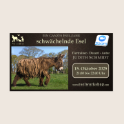 Ein ganzes Esel-Jahr | schwächelnde Esel