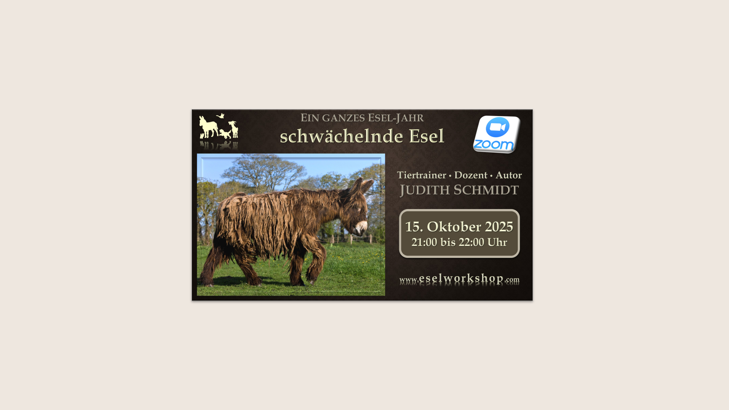 Ein ganzes Esel-Jahr | schwächelnde Esel