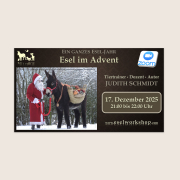 Ein ganzes Esel-Jahr | Esel im Advent
