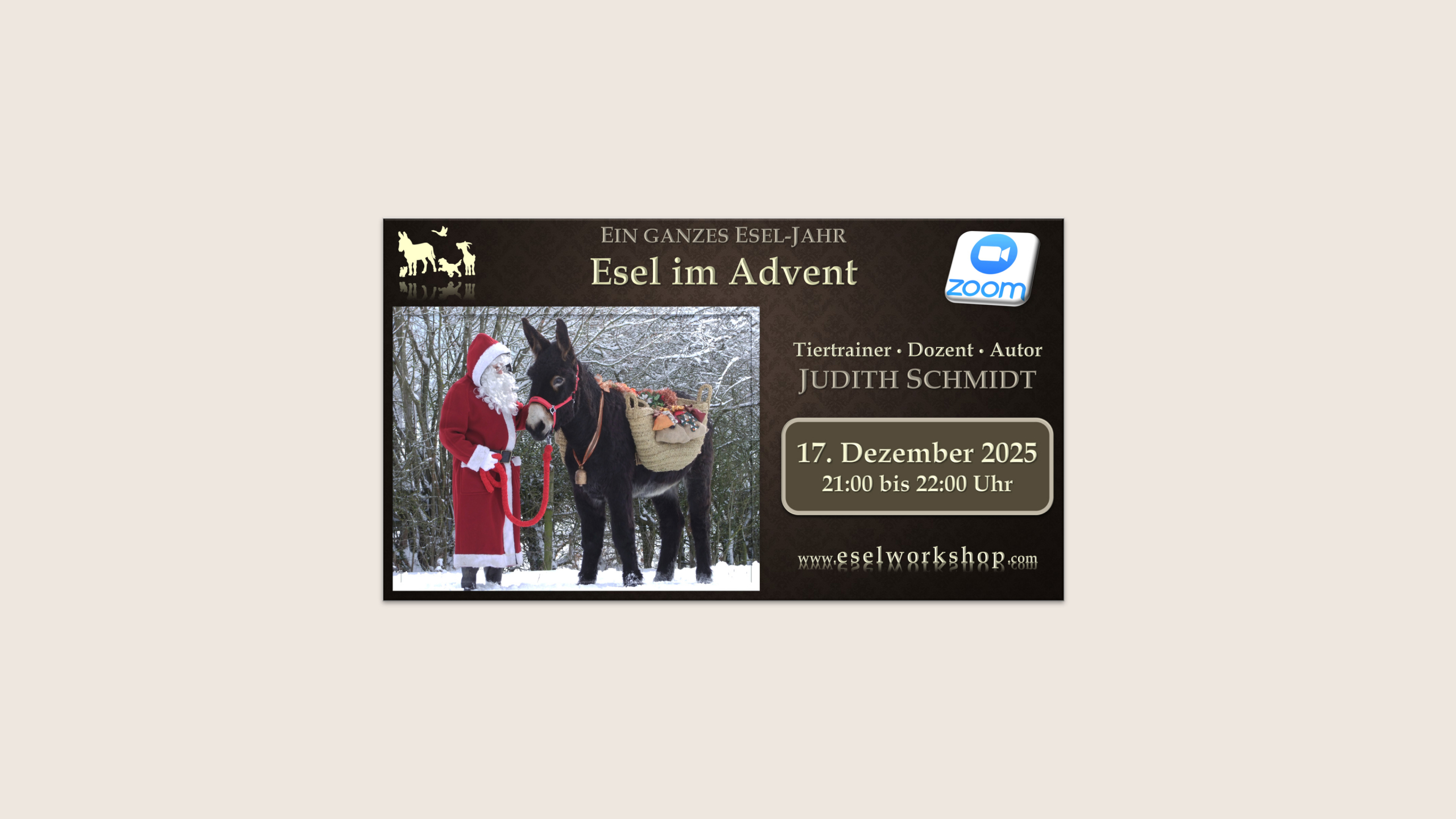 Ein ganzes Esel-Jahr | Esel im Advent