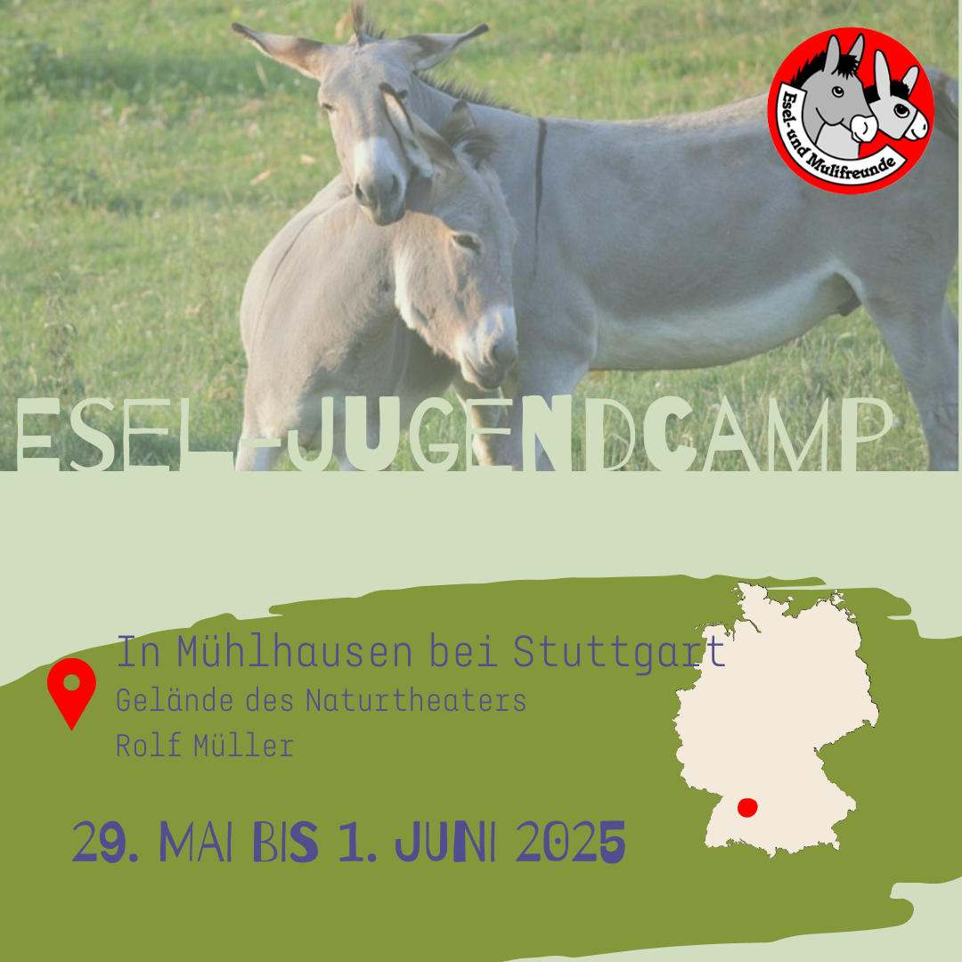 Jugendcamp 2025 der IGEM