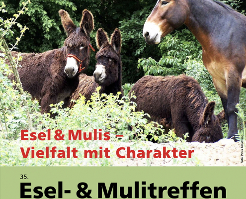 Plakat: 35. Esel- und Mulireffen Bad Honnef, Eseltreffen