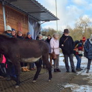 Planungstreffen 2026 Regiogruppe Rhein-Main