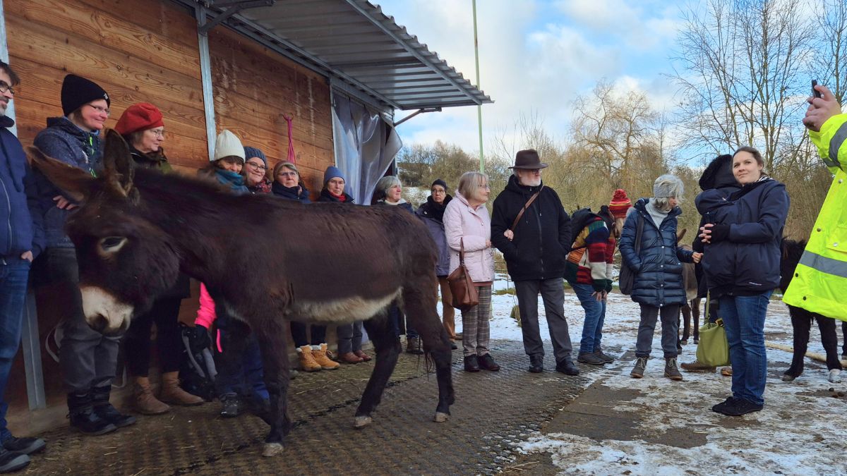 Planungstreffen 2026 Regiogruppe Rhein-Main