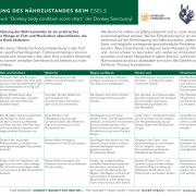 Chart: Beurteilung des Nährzugstandes beim Esel von The Donkey Sanctuary, übersetzt von Schweizer Tierschutz STS