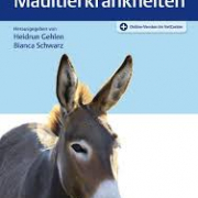 Buchtitel: Esel- und Maultierkrankheiten, Hrsg. Heidrun Gehlen und Bianca Schwarz, Georg Thieme Verlag