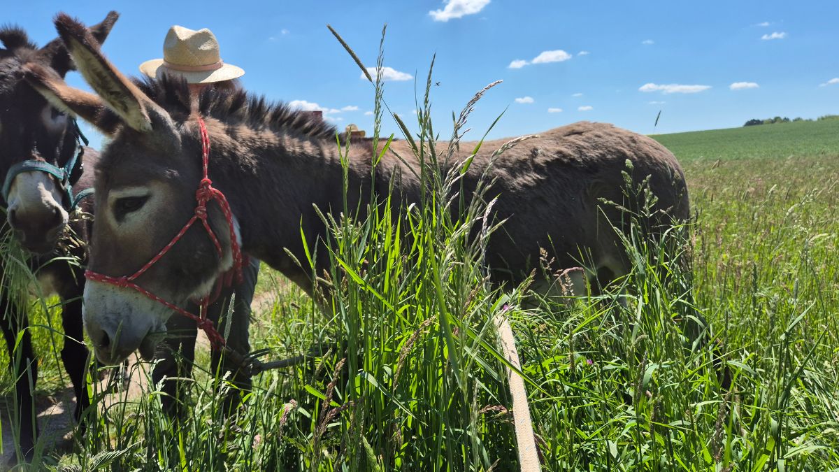 Schnuppersäumen mit Gabriele Köllen  - Regio Rheinland