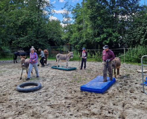 Vorbereitung aufs Eseltreffen in Westerkappeln