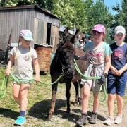 Foto: Kinder fuehren Esel über Hof IGEM Jugendcamp 2025