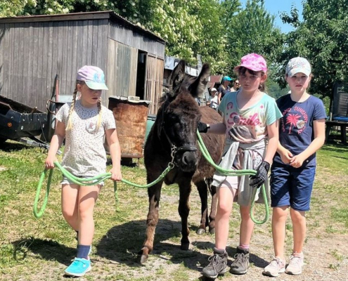Foto: Kinder fuehren Esel über Hof IGEM Jugendcamp 2025