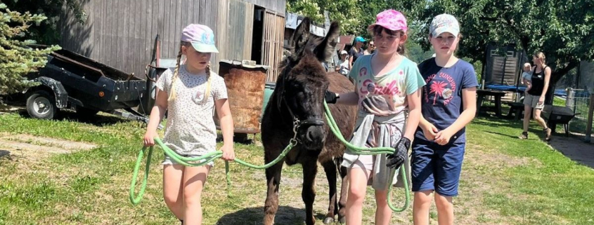 Foto: Kinder fuehren Esel über Hof IGEM Jugendcamp 2025