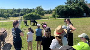 Foto: IGEM Jugendcamp 2025 Kinder und Esel auf der Weise