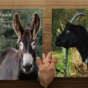 ESEL & ZIEGEN PRAXISTAG