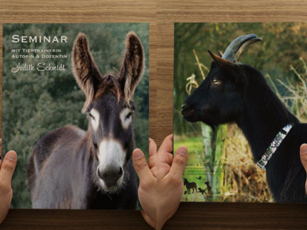 ESEL & ZIEGEN PRAXISTAG