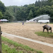 Foto: Frau wässert Sandplatz beim Eseltreffen in Bad Honnef 2025