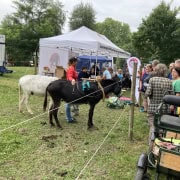 Foto: Geschirr-Workshop beim Eseltreffen in Bad Honnef 2025