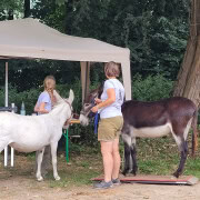 Foto: Kerstin Nußbaum mit einem Mädchen und zwei Eseln beim Wiegen beim Eseltreffen in Bad Honnef 2025