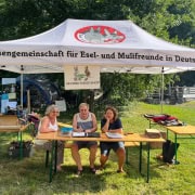 Foto: Die ehrenamtlichen Betreuer des Second-Hand-Stands beim Eseltreffen in Bad Honnef 2025.