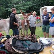 Foto: Esel und Menschen stehen vor dem Second-Hand-Stand beim Eseltreffen in Bad Honnef 2025.