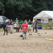 Foto: Fleißige Helfer