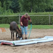 Foto: Gefährlicher Wassergraben