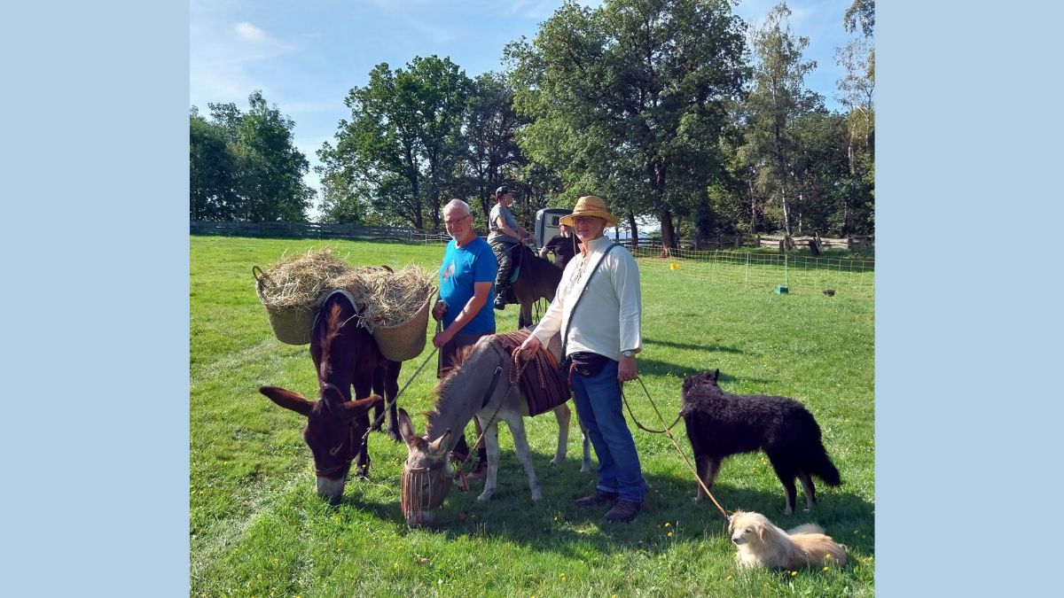 Esel bei "Tag nach der Ernte"