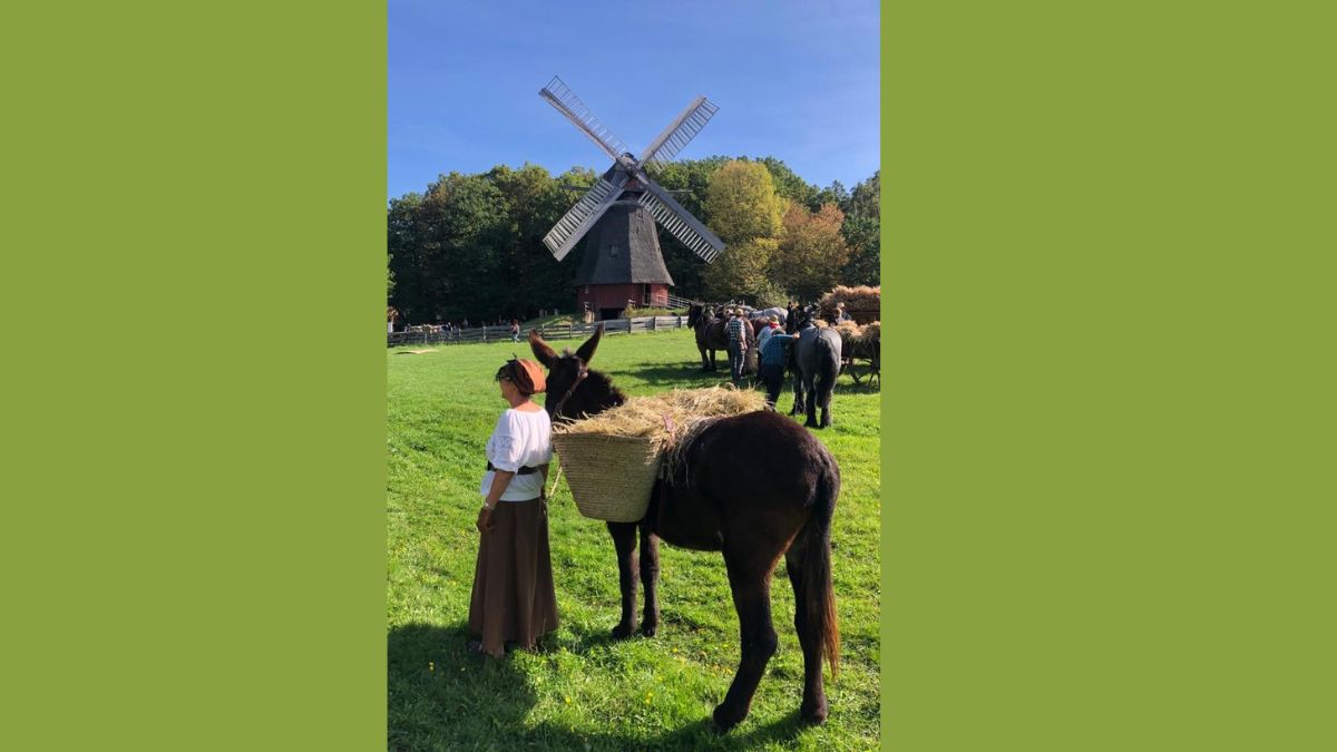 Foto: IGEM-Regionalgruppe West/Rheinland im LVR-Freilichtmuseum Kommern bei "Nach der Ernte" Foto: IGEM-Regionalgruppe West/Rheinland im LVR-Freilichtmuseum Kommern bei "Nach der Ernte"