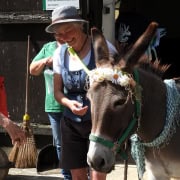 Foto: Geschmückter Esel und lachende Menschen beim Eseltreffen in Bad Honnef 2025.