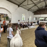 Foto: Das Orchester spielt zum Gottesdienst beim Eseltreffen in Bad Honnef 2025.